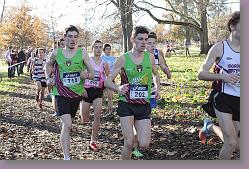 Begles 15.12.13 01 561 * 679 x 453 * (186KB)